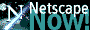 sito ottimizzato per Netscape.