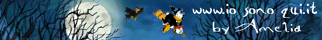 banner Amelia 