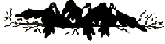 corvi