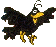Gennarino!